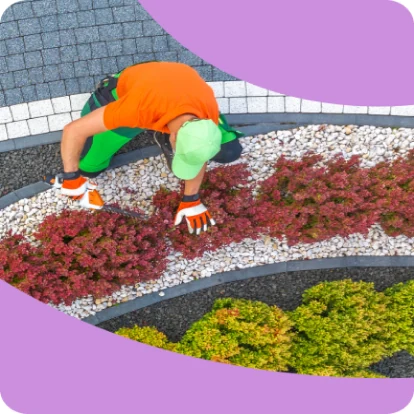 Landscaping & Outdoor Living